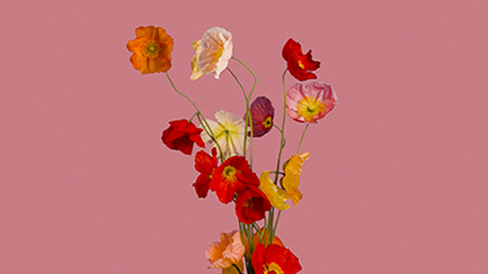 digital-canvas-curved-eges (1).png